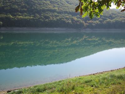 Прикрепленное изображение: IMG_0200.JPG